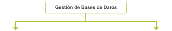 Gesti�n de Bases de Datos